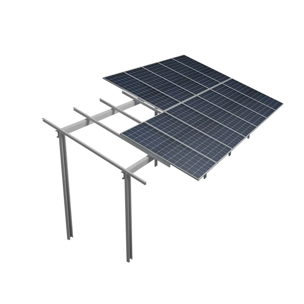 Bifacial clasic
